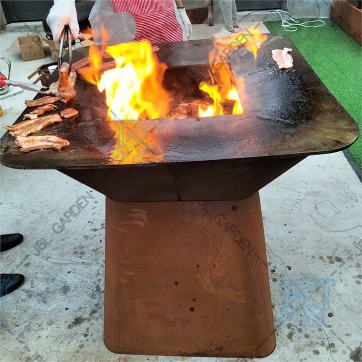 Bbq Screen
