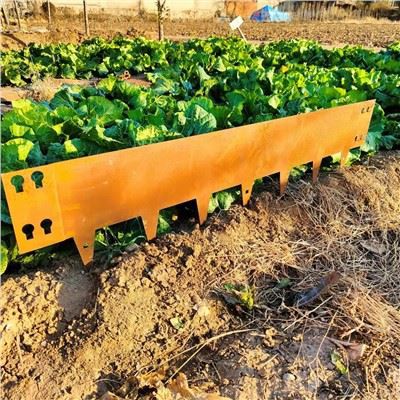 Изготовленная на заказ окантовка для сада из кортеновской стали