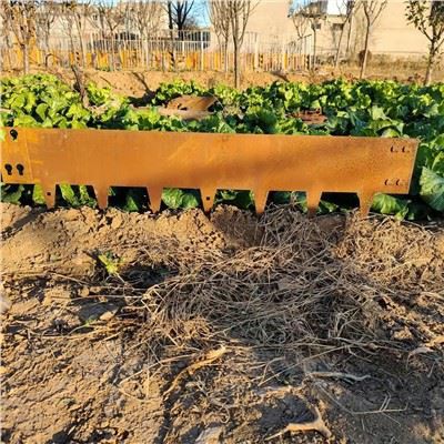 Пейзажная граница из высококачественной стали Corten