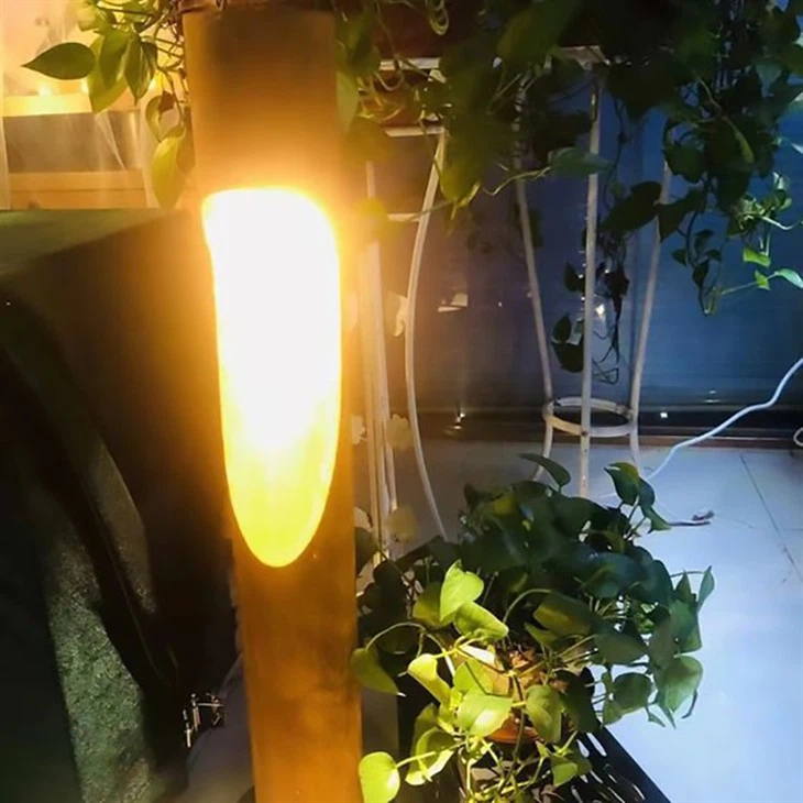 Garden LED Lights