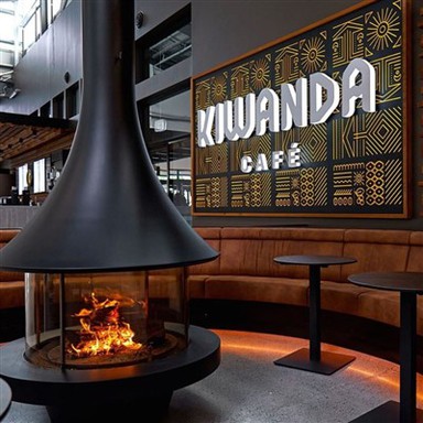 Камины, монтируемые на крышу